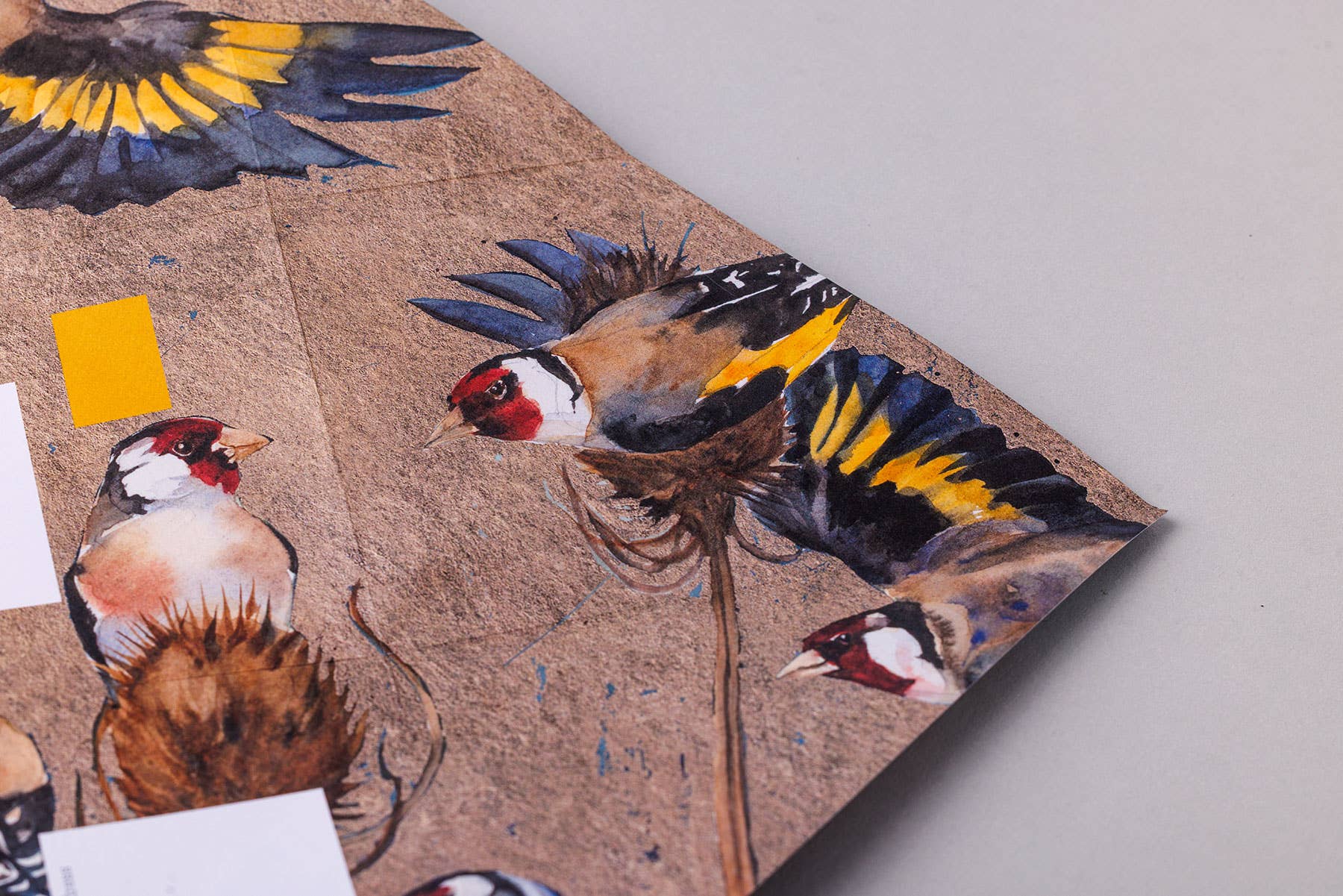 Golden Flight Pigeon Pack