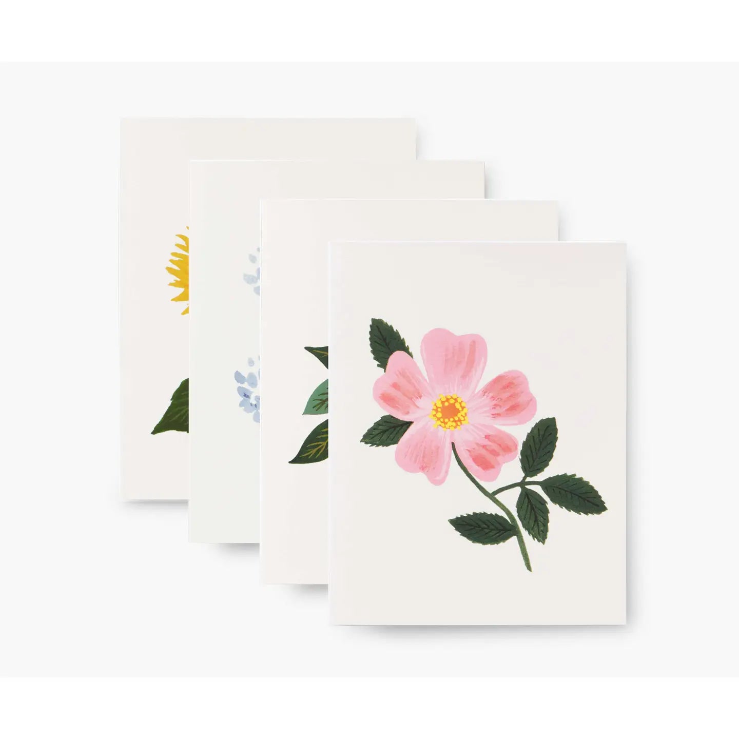 Assorted Botanical Blossom Set