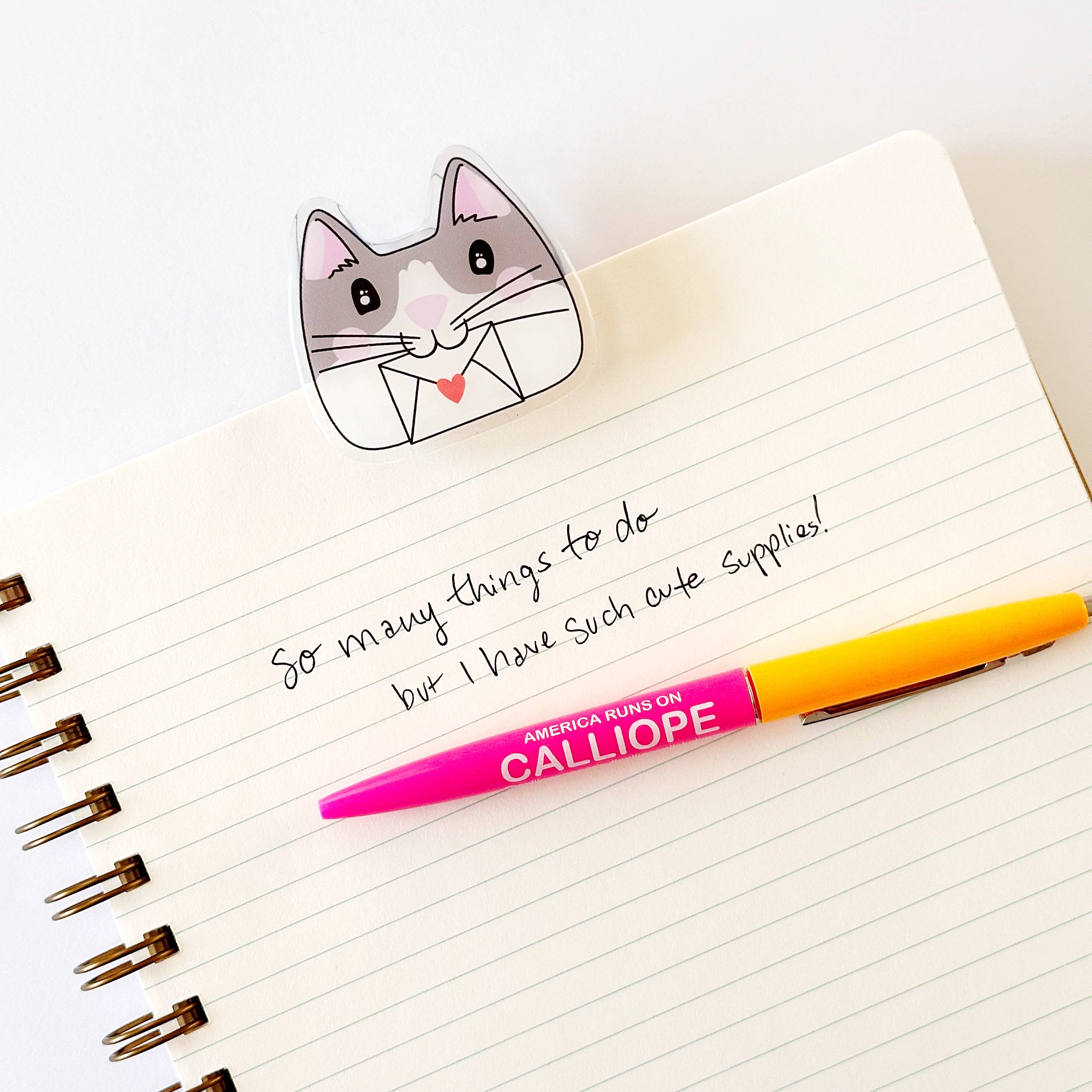 Chips and Envelope Cat Clip