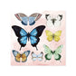 Watercolor Butterflies