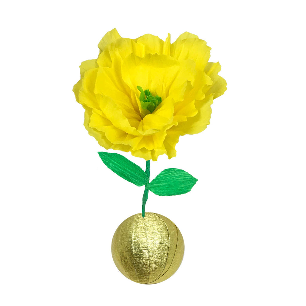 Mini Surprize Ball Flower Bulb