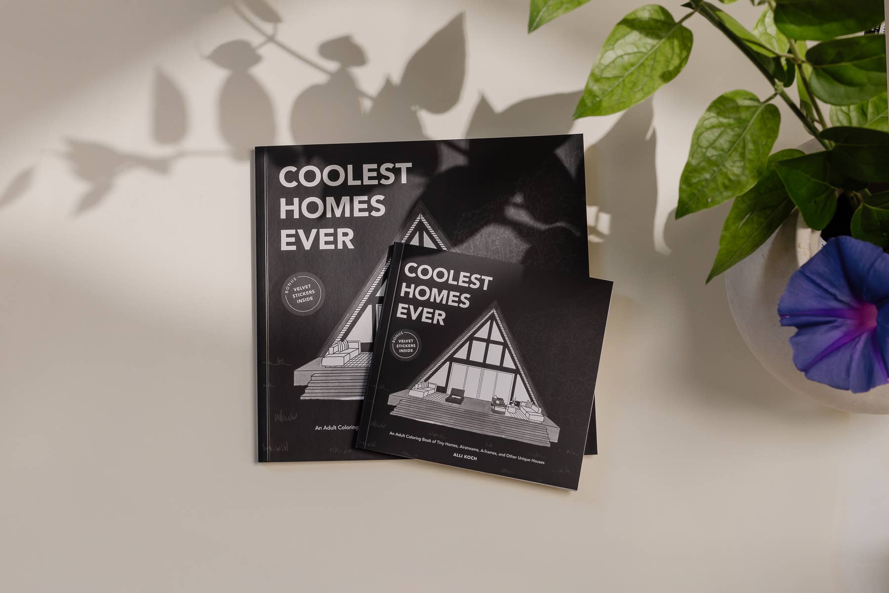 Coolest Homes Ever: A Travel Size Adult Coloring Book