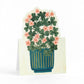 Potted Plants Pop-Up Greeting Card Box Set