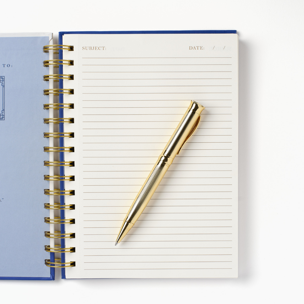 Blue Chinoiserie Vase Spiral Notebook