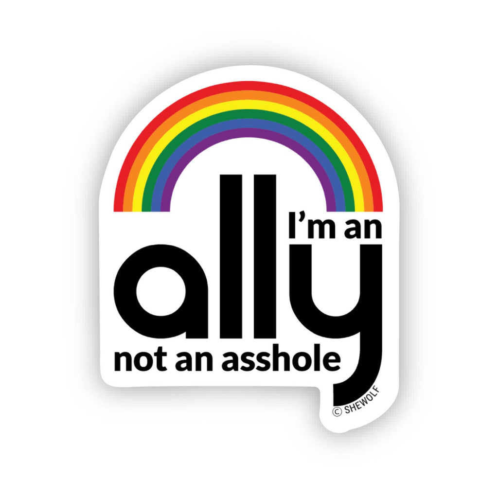 LGBTQ+ Ally Gay Rights & Equality