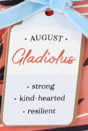 Gladiolus Floral Pop-Up Card w/ Ribbon Embellishment-August