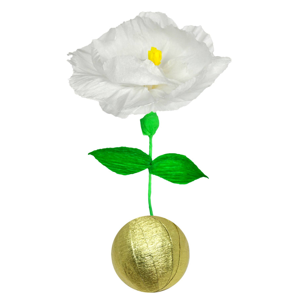 Mini Surprize Ball Flower Bulb