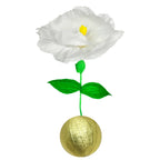 Mini Surprize Ball Flower Bulb