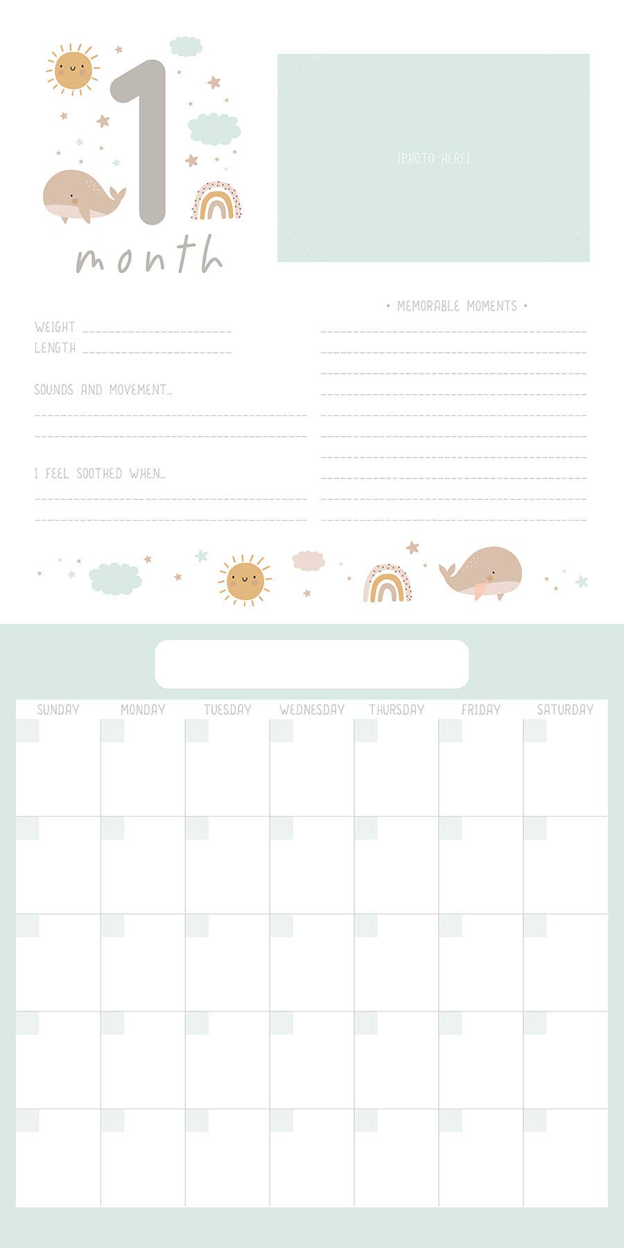 Baby's First Year Undated Wall Calendar