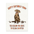 Messy Dog Birthday