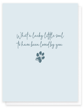 Lucky Little Soul Pet Sympathy