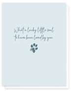 Lucky Little Soul Pet Sympathy