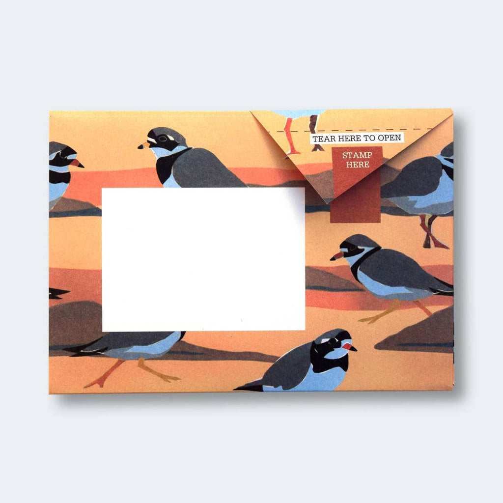 Hebridean Pigeon letter pack