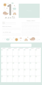Baby's First Year Undated Wall Calendar