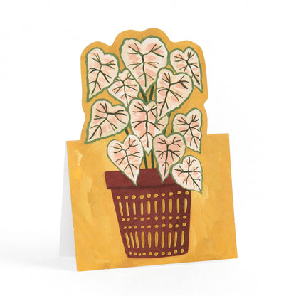 Potted Plants Mini Pop-Up Greeting Card