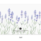 Lavender Little Notes®