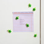 Baby Turtle Magnets