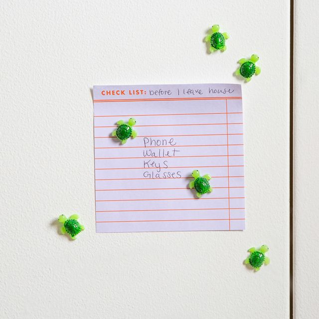 Baby Turtle Magnets