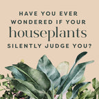 House Plants and their F*cked-Up Thoughts