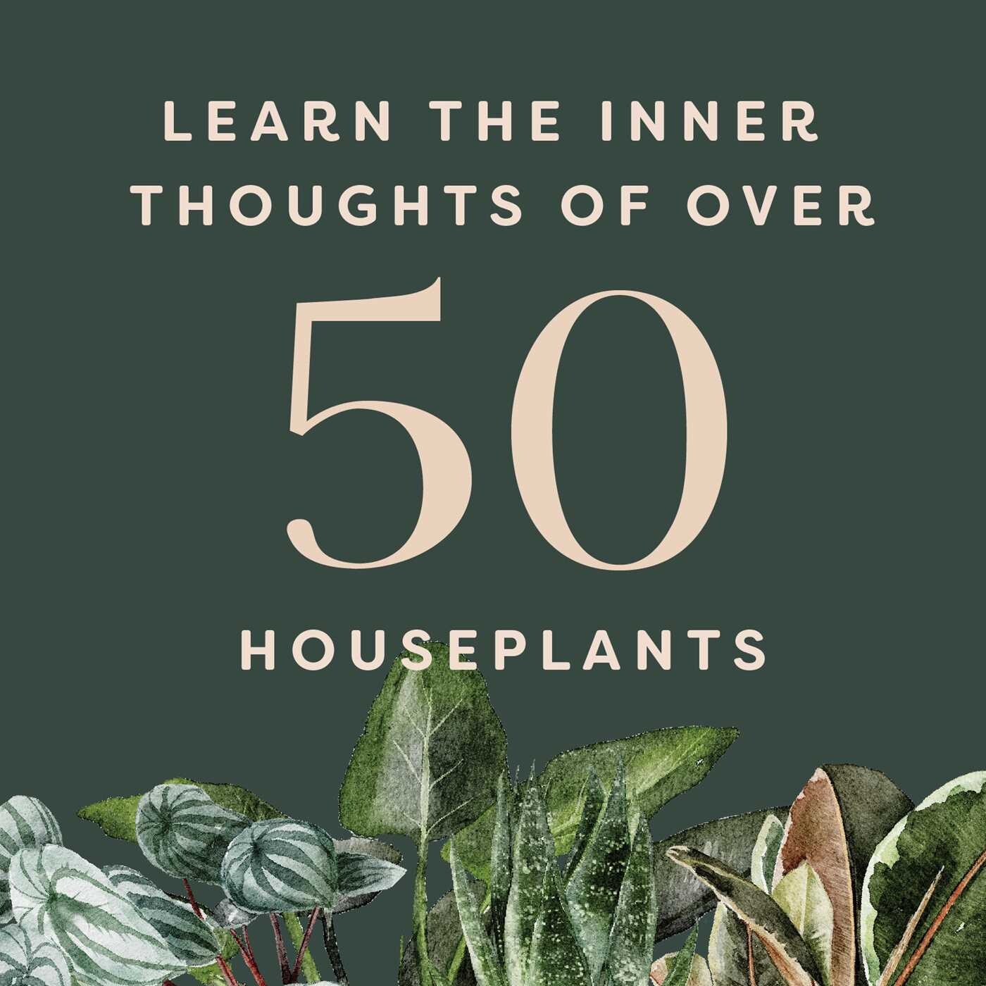 House Plants and their F*cked-Up Thoughts