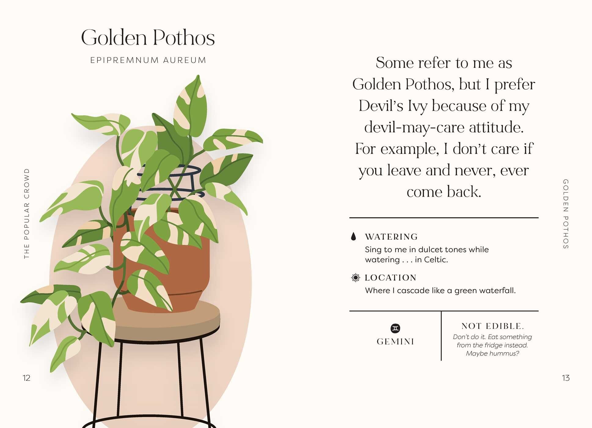 House Plants and their F*cked-Up Thoughts