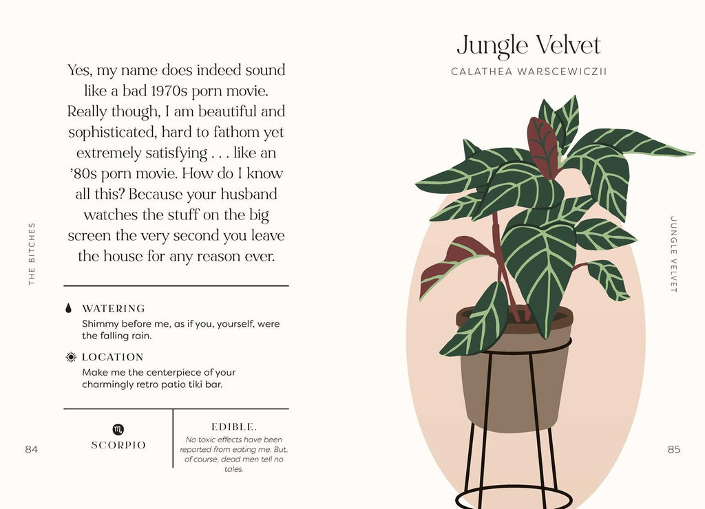 House Plants and their F*cked-Up Thoughts