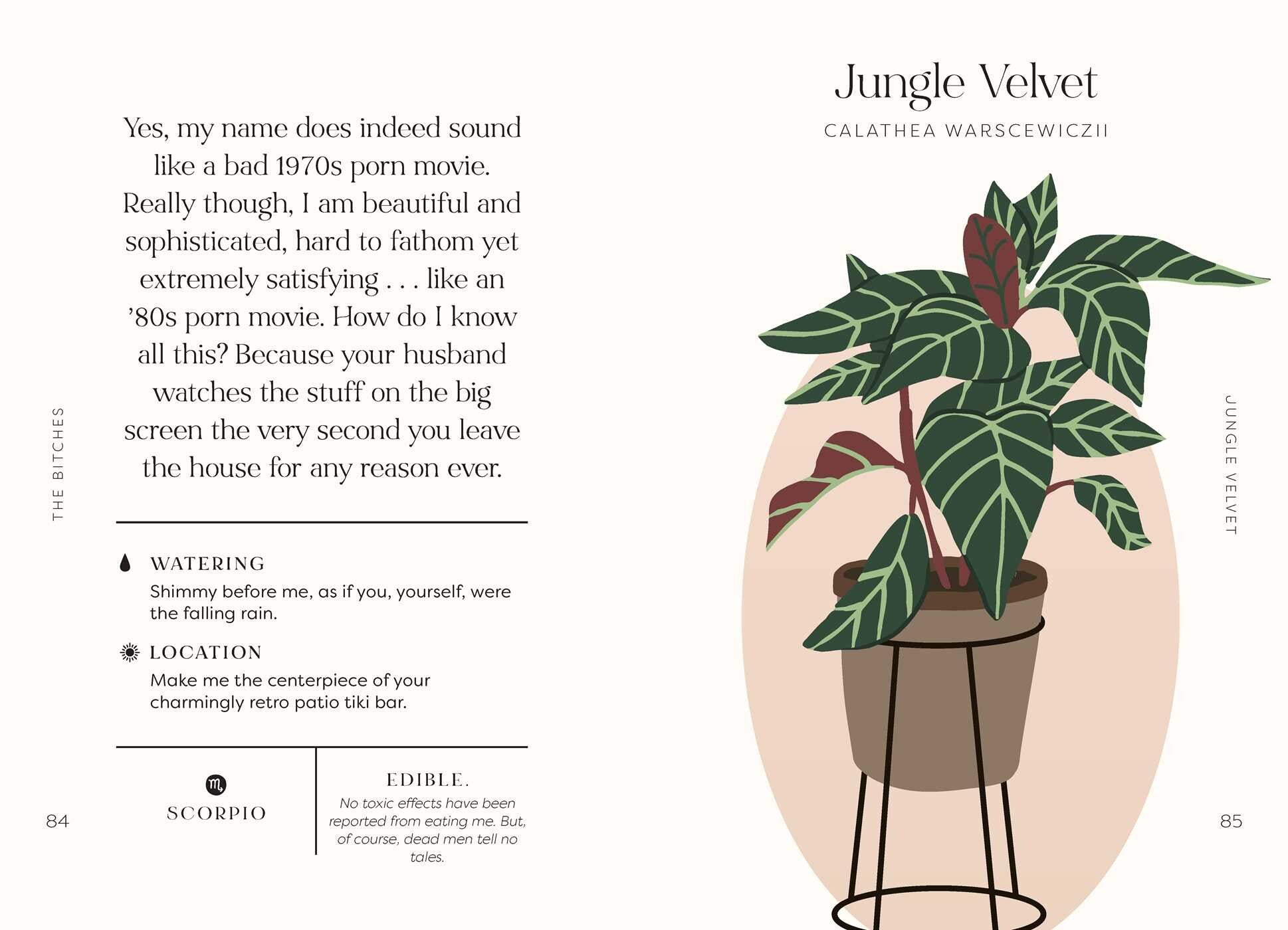 House Plants and their F*cked-Up Thoughts