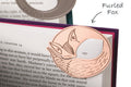 Curled Up Corners Bookmark- Furled Fox