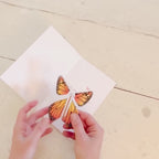 Magic Flying Butterfly - Rainbow Colors