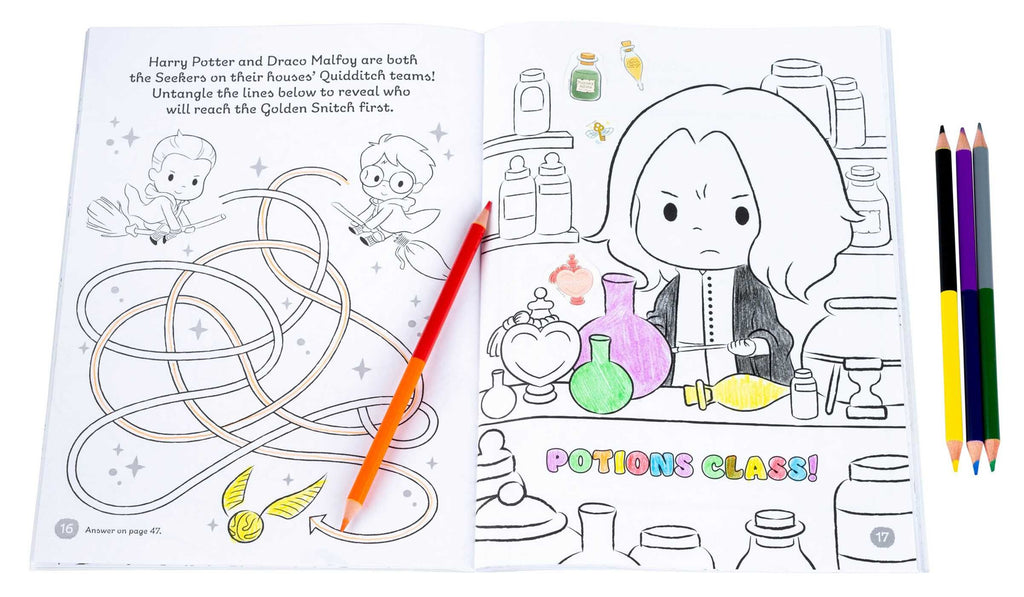 Wizarding World: Adventures in the Castle