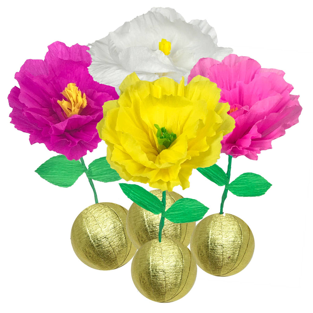 Mini Surprize Ball Flower Bulb