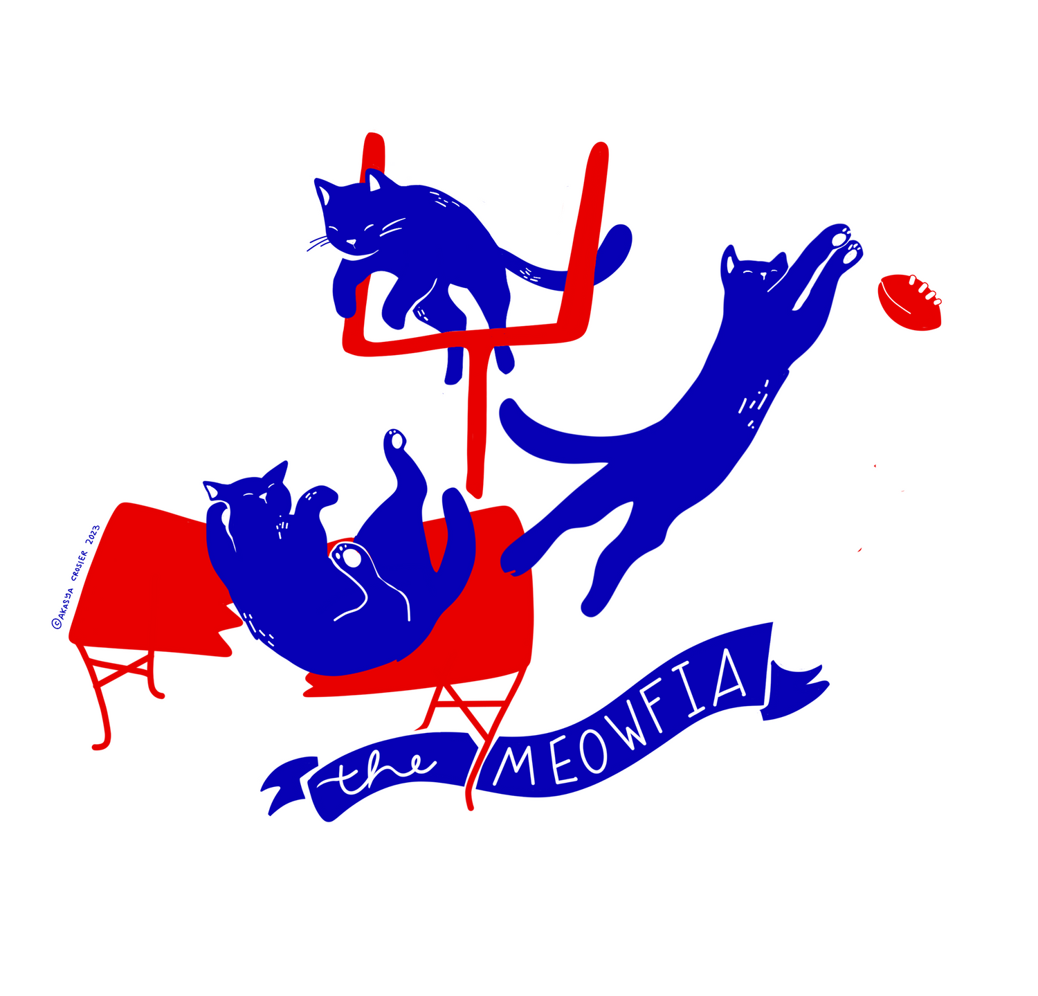Buffalo Bills Themed