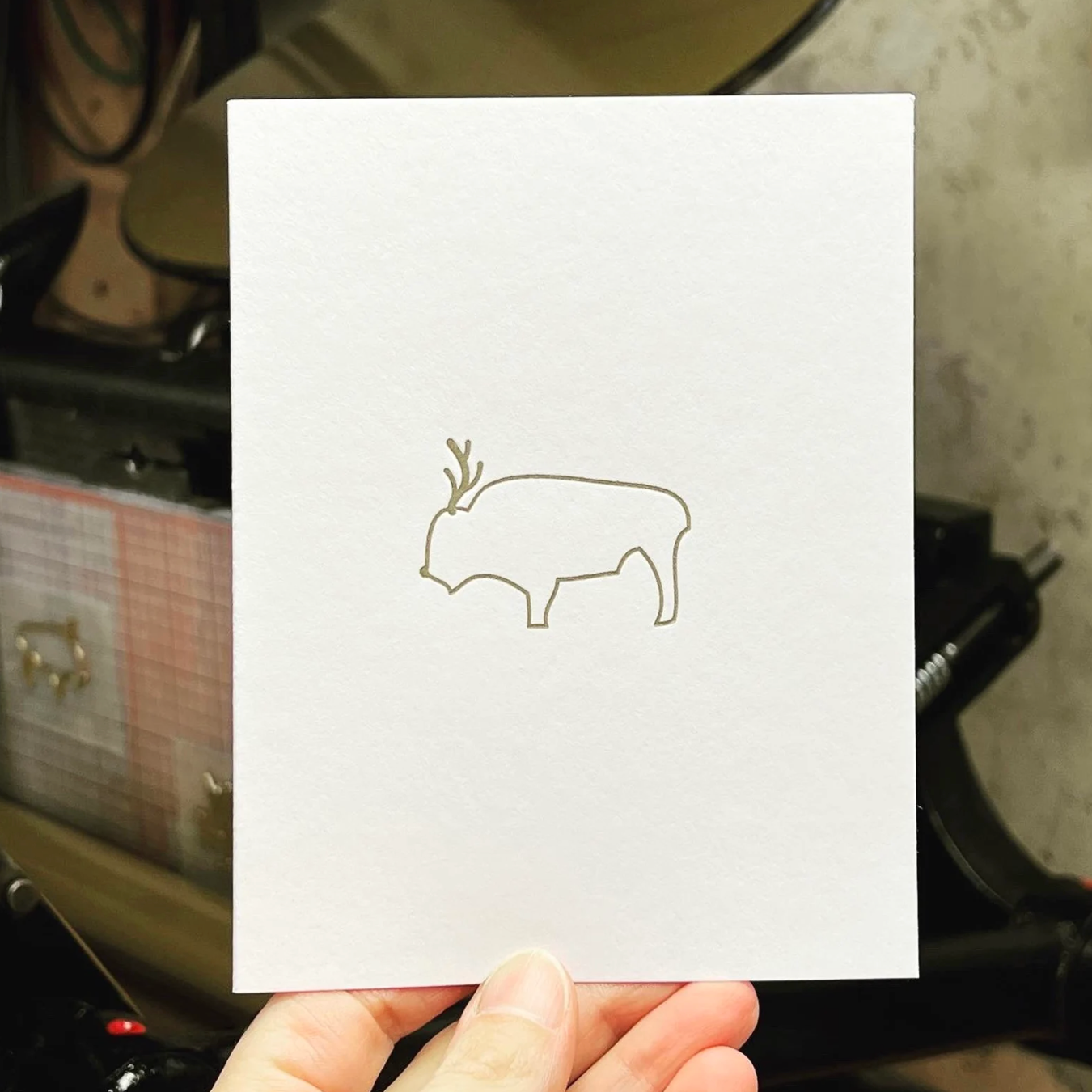 Buffalo Reindeer Minimalist Holiday Christmas Card