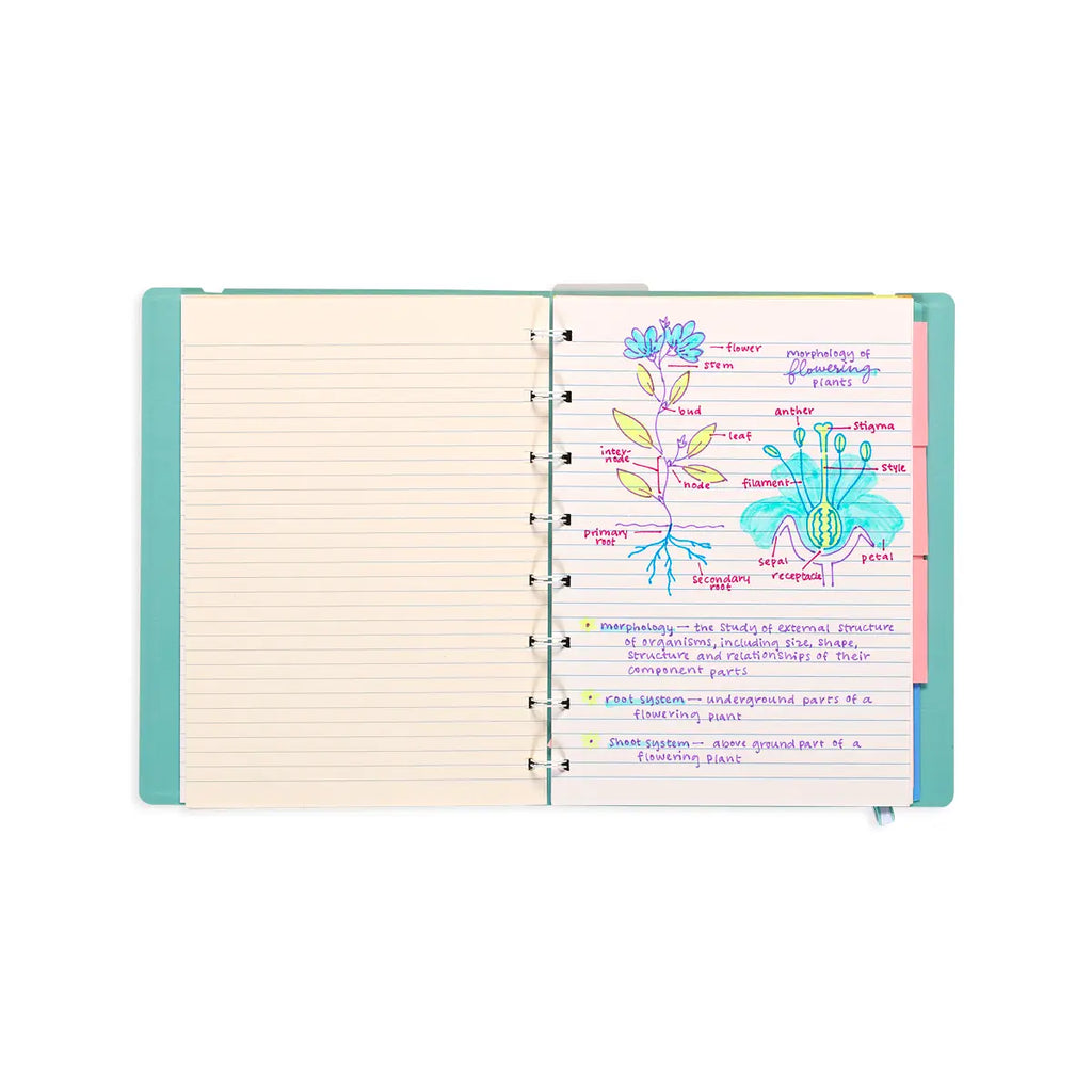 Writer's Duo Double-Ended Fountain Pens + Highlighters (Set of 3)