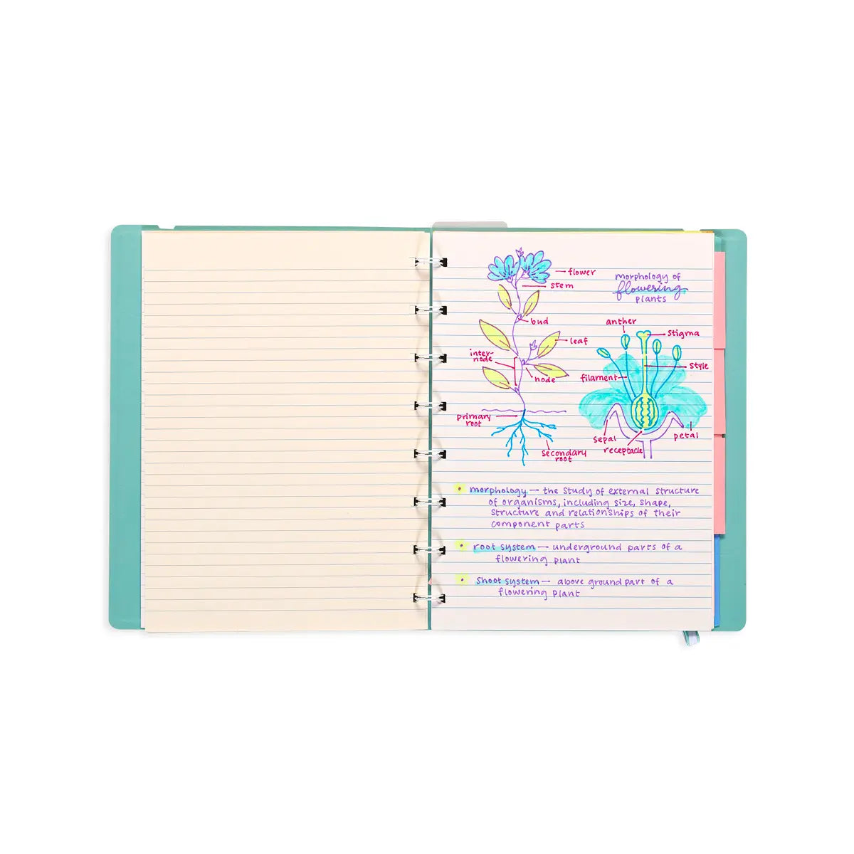 Writer's Duo Double-Ended Fountain Pens + Highlighters (Set of 3)