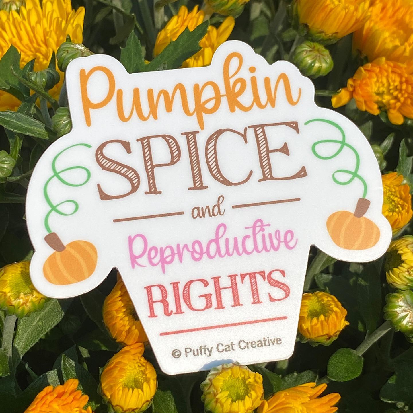 Pumpkin Spice & Reproductive Rights Ovaries Sticker