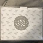 T Rex Note Cards (Set of 12)