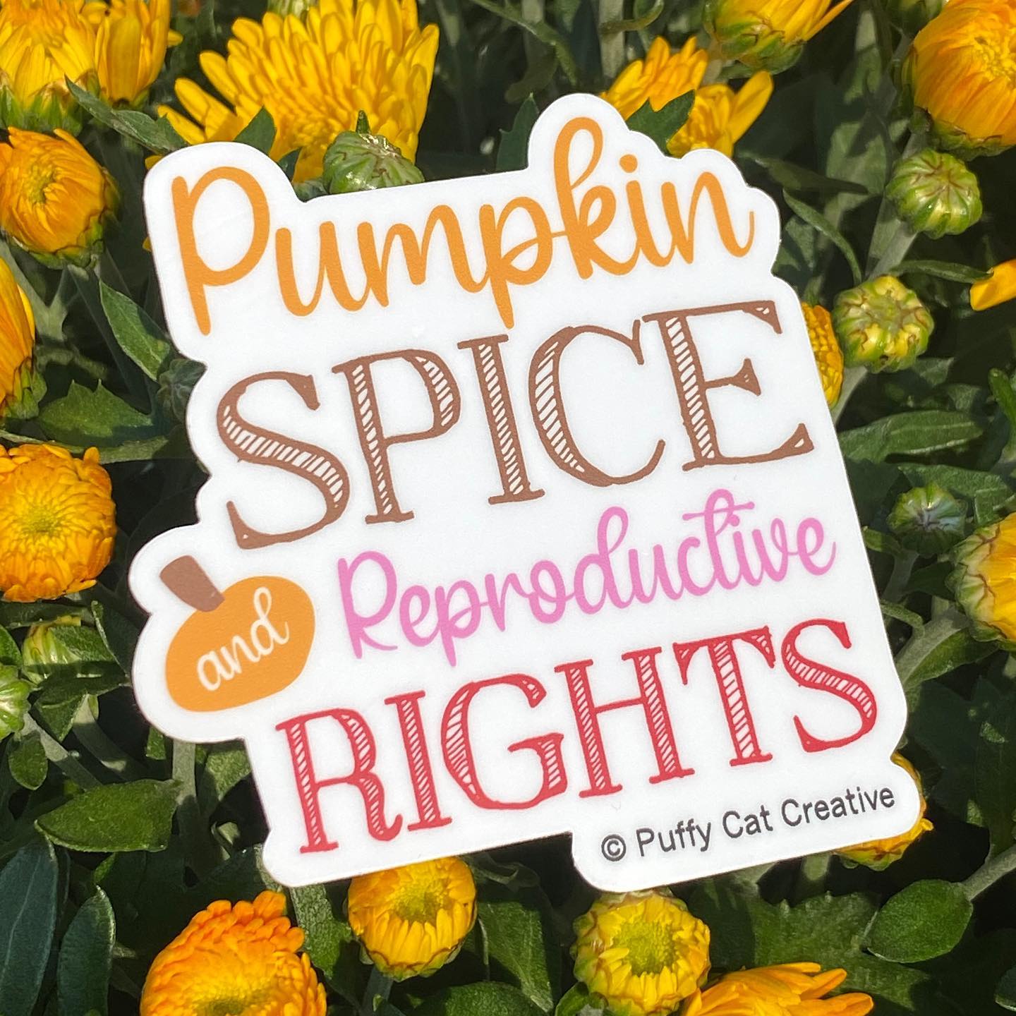 Pumpkin Spice & Reproductive Rights Sticker
